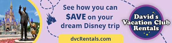 DVC Rentals Banner 600x150
