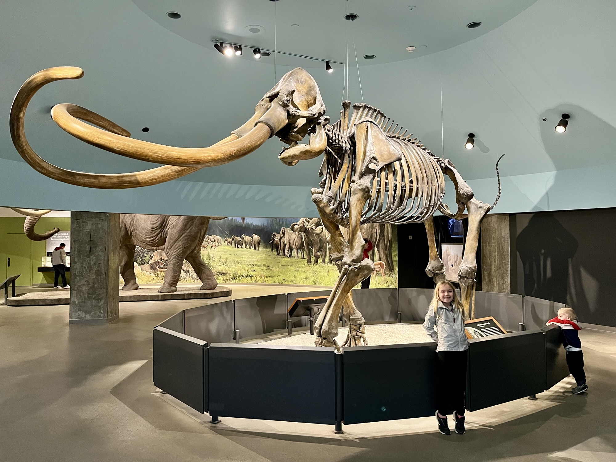 skeleton of wooly mammoth at La Brea Tar pits in Los Angeles