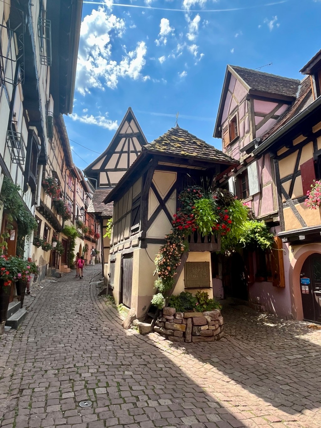 A Family Guide to Alsace: Exploring France’s Fairy Tale Region with Kids