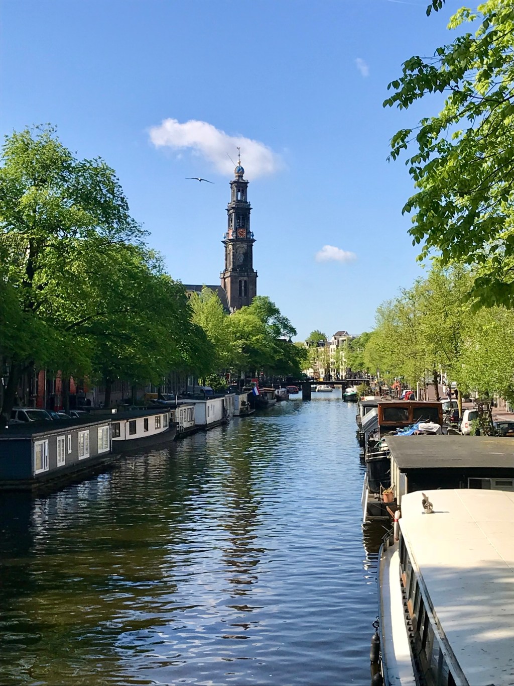 1 Week Family-Friendly Amsterdam Itinerary: Exploring Canals, Culture, and Day Trips