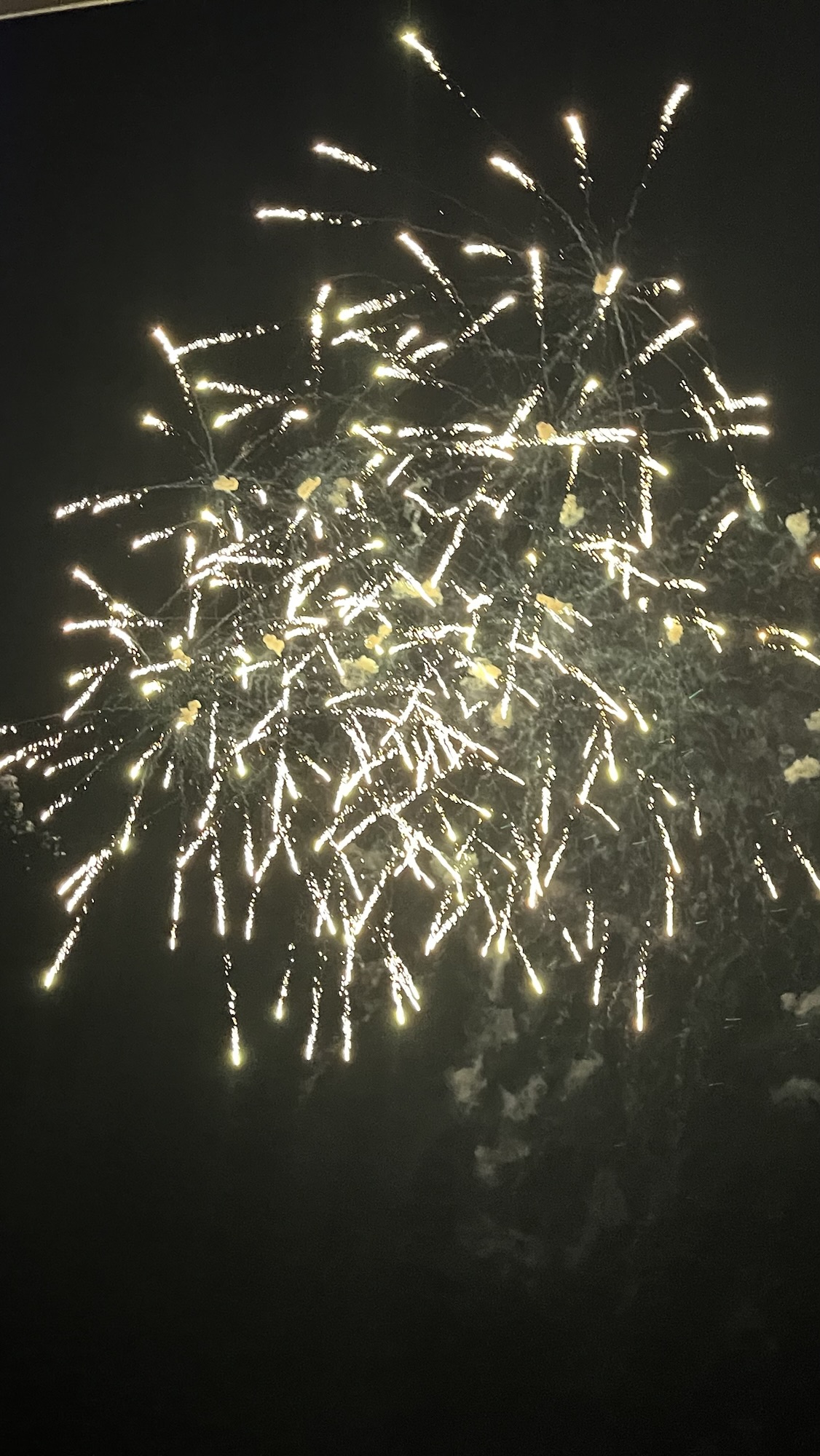 Fireworks outside our verandah on Disney Cruise Ship