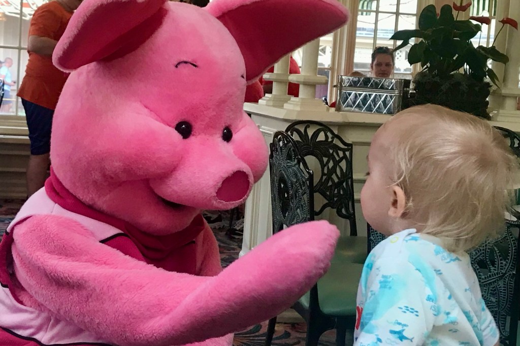 Top 5 Favorite Character Dining Restaurants in Disney World