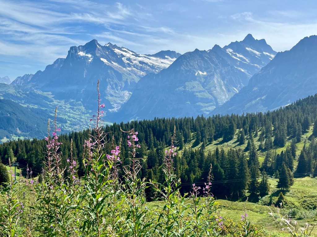 Swiss Alps for Kids: The Ultimate Guide to Fun and Adventure