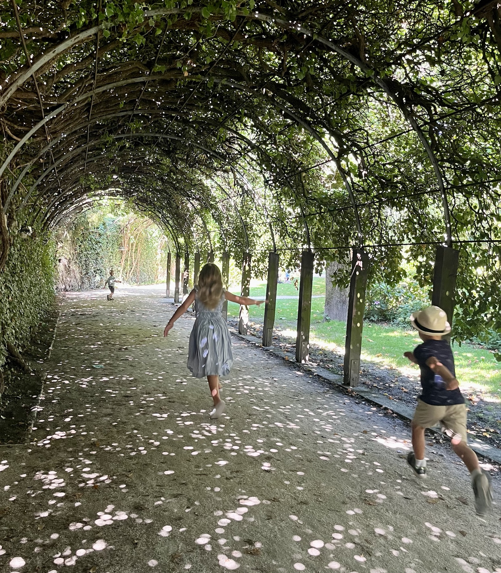 running through the tree canopy in Mirabelle Gardens in Salzburg Austria